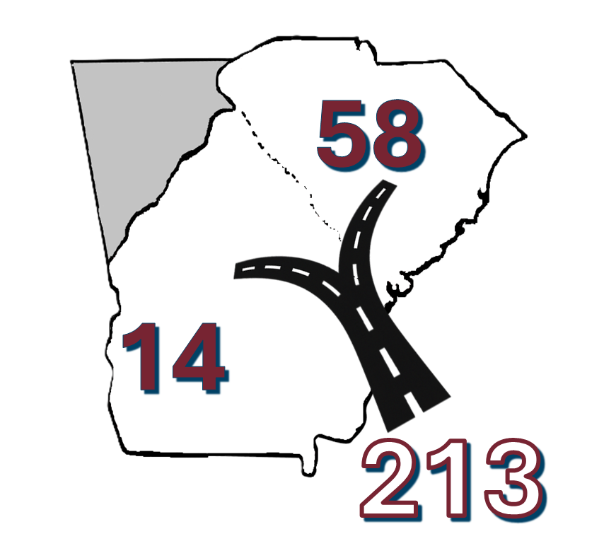 D21 Logo Image of Geographic combination of District 13 in GA and and District 58 with a road coming out to the numbers 213.